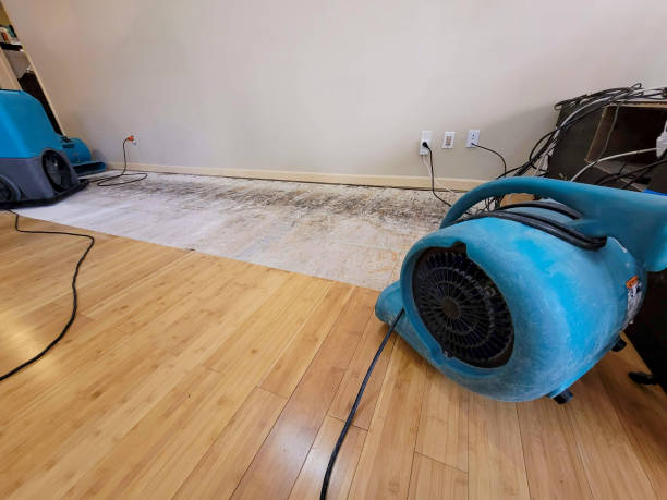 Professional Water Damage Repair technician working in Marlin, WA