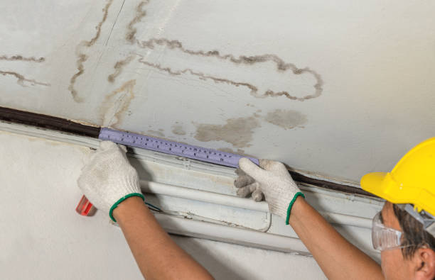 Affordable Water Damage Repair solutions in Marlin, WA
